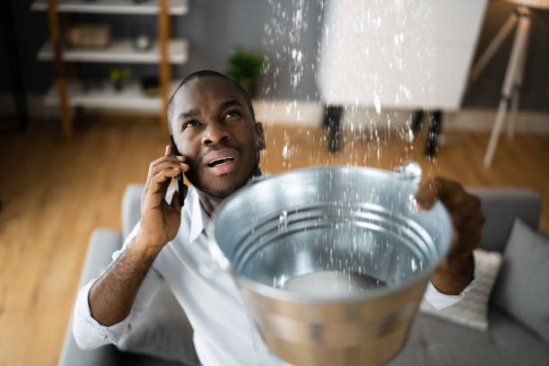 Best Carpet water damage restoration  in Hill City, KS