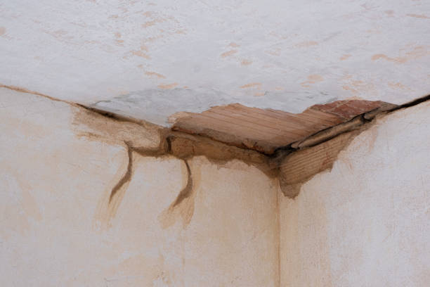 Best Water damage contractors near me  in Hill City, KS