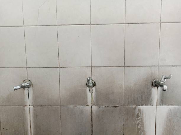 Best Ceiling water damage repair  in Hill City, KS