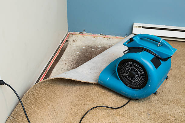 Best Flooded house restoration  in Hill City, KS